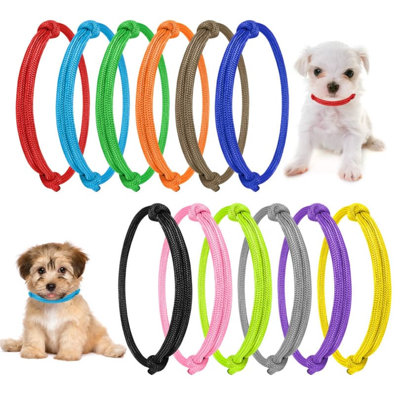 Yorgewd 12 Pièces Collier Chiot, Colliers d'Identification de Chiot Colliers de Chaton Réglables Colorés pour Naissance Animaux