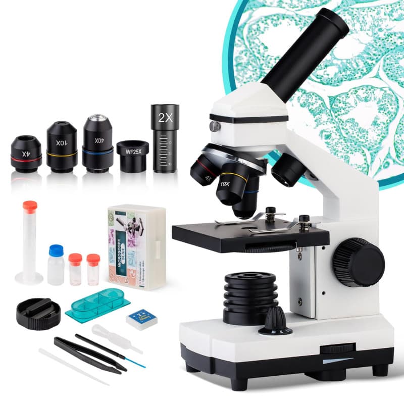 Microscope pour Enfant Étudiante et Adulte 250X-2000X Portable Microscope Optique Professionnel Microscope Monoculaire étudiants
