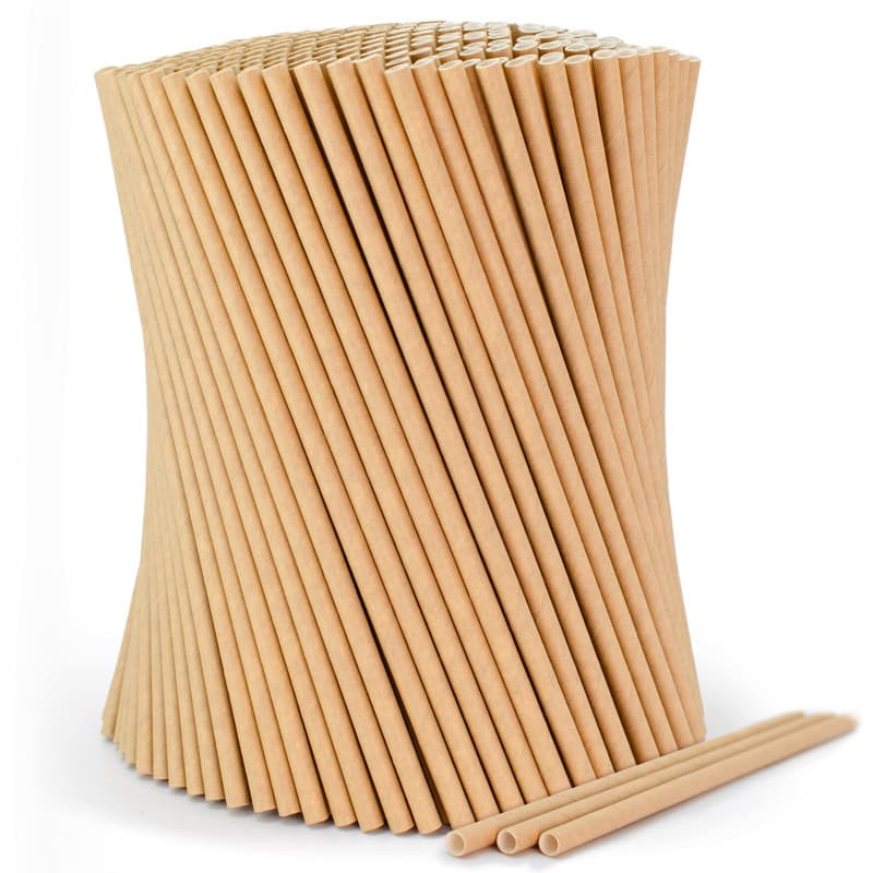 wisefood Lot de 100 pailles marron, diamètre : 8 mm x 24,5 cm, sans PLA/PE (acide polylactique/polyéthylène), jetables, biodégra
