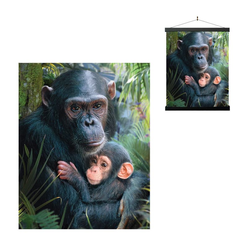 3D LiveLife Affiche Murales Lenticulaires Calins Mignons de Deluxebase. Poster Chimpanzé 3D sans Cadre. Décoration Murale Parfai
