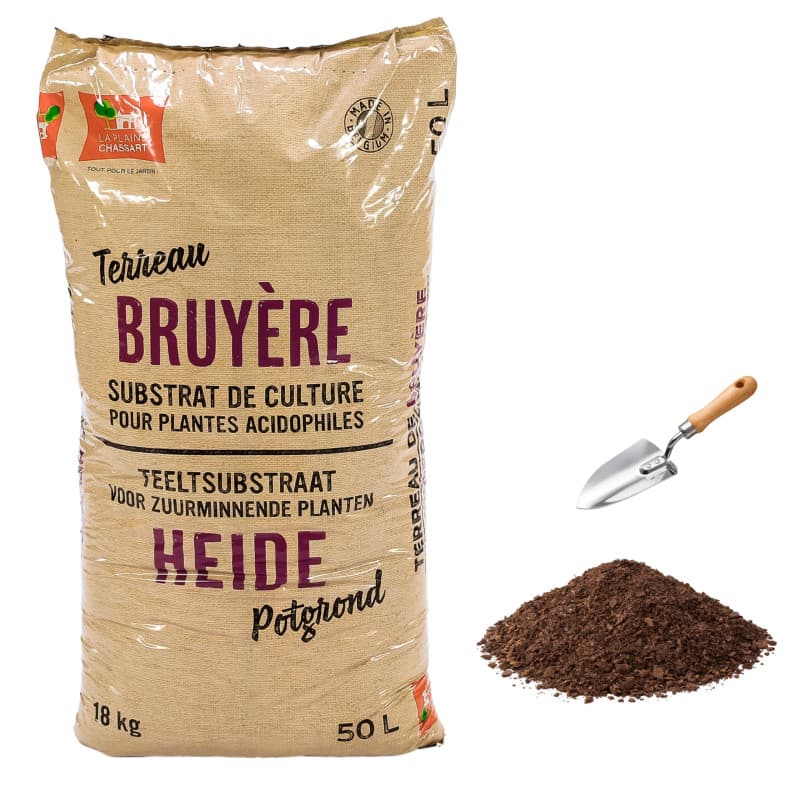 La Plaine Chassart - Terre de Bruyere 50L - pour Toutes Les Plantes Acidophiles - Rhododendrons et Azalées - Usage Intérieur et