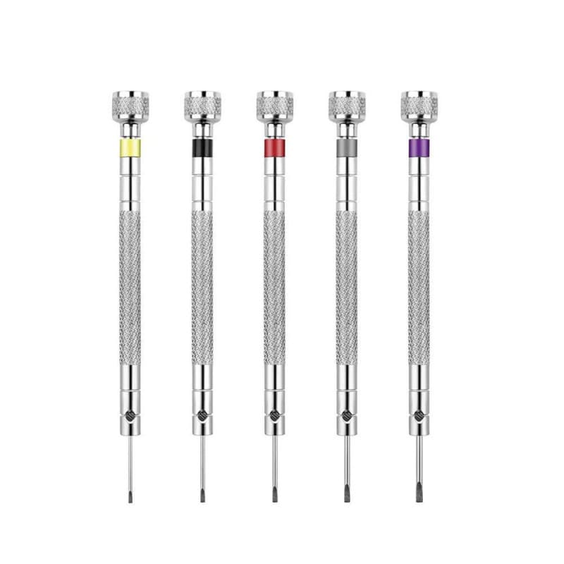 Lot de 5 tournevis de précision pour horloger - Lame réversible - Pour réparation de montres, lunettes, bijoux