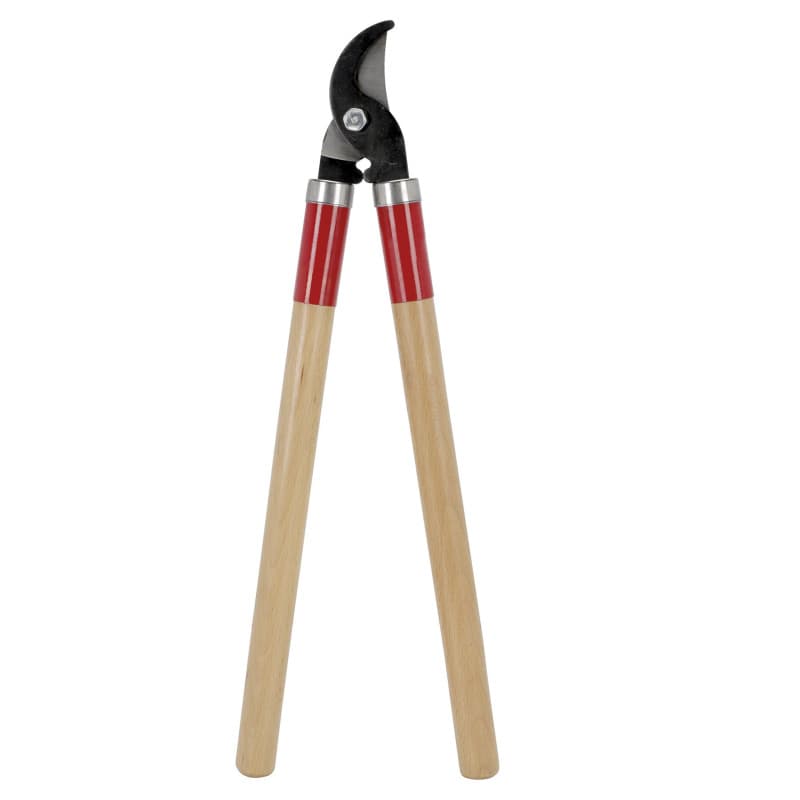 GREENGERS - Sécateurs et ciseaux de jardinage, Ébrancheurs de jardinage - Coupe branches avec lame à coupe franche manche bois 5