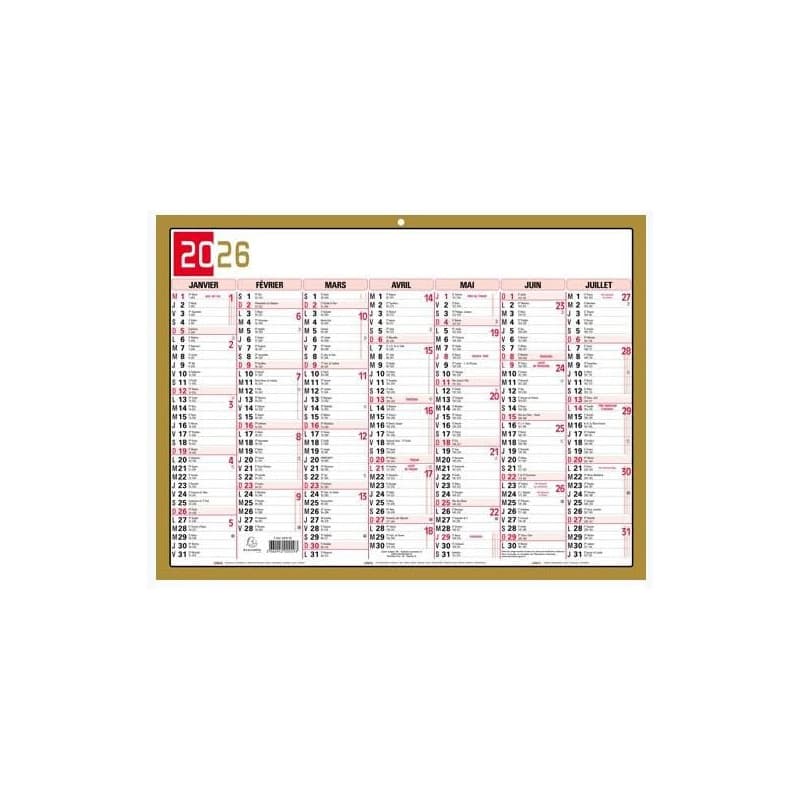 Exacompta - 34382E - Calendrier Mural - Thème Tricolore - 6 mois par face - Dimension 29,5 cm x 22 cm - Calendrier 12 mois de Ja