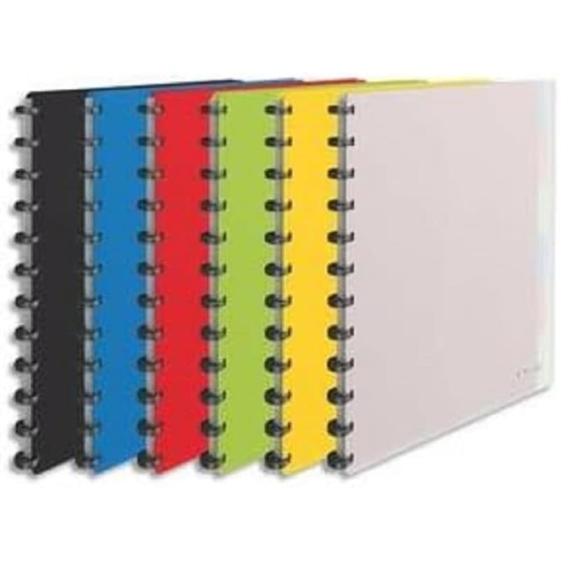 ESSELTE Protège-documents 25 pochettes amovibles 264 x 310 x 21 mm Couleurs assorties