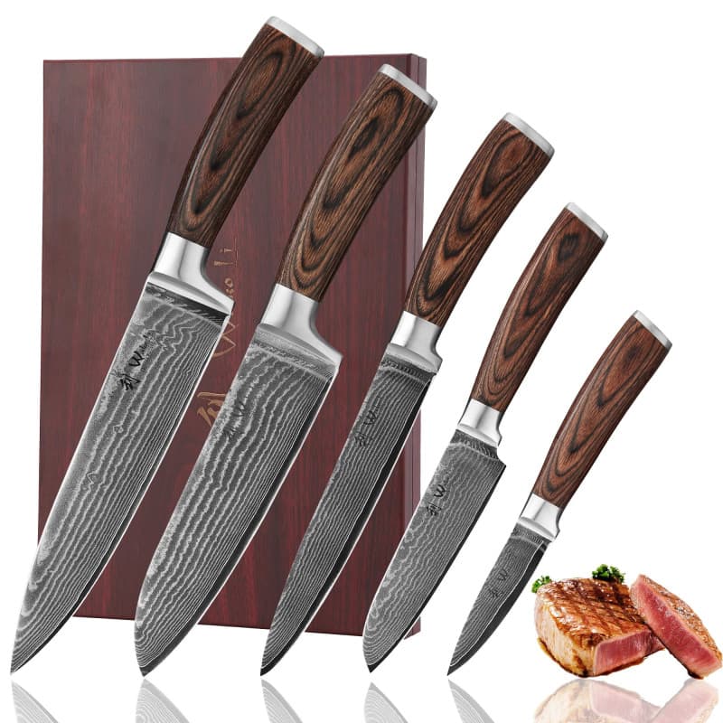 Wakoli Edib Set de 5 couteaux en Damas I Lames en acier damassé à 67 couches avec noyau VG10 et manches en bois de pakka I Coute