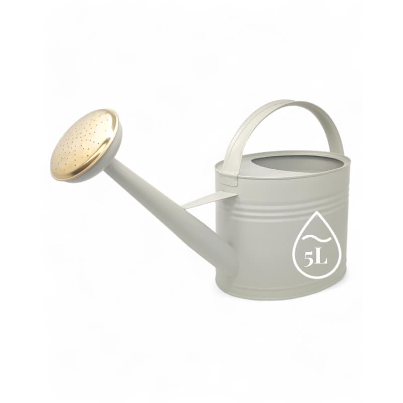 LIVLIG Arrosoir zinc 5 litres Arrosoir de jardin en métal Arrosoir pour intérieur et extérieur Arrosoir vintage avec bec amovibl