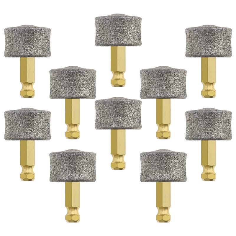 VGOL 10pcs Tête de Broyeur à Ongles pour Chien Remplacement Embouts de Broyeur à Ongles pour Animaux de Compagnie Tête de Meulag