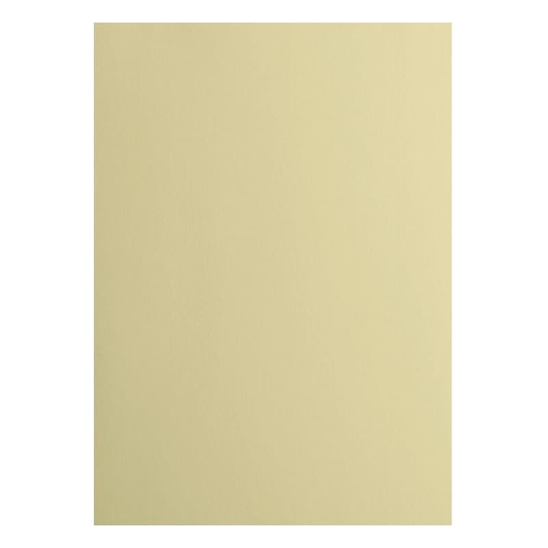 vaessen creative Florence Papier Cartonné, Beige (Pudding), 216g, 10 Feuilles, Surface Lisse, pour Peindre, Scrapbooking et plus