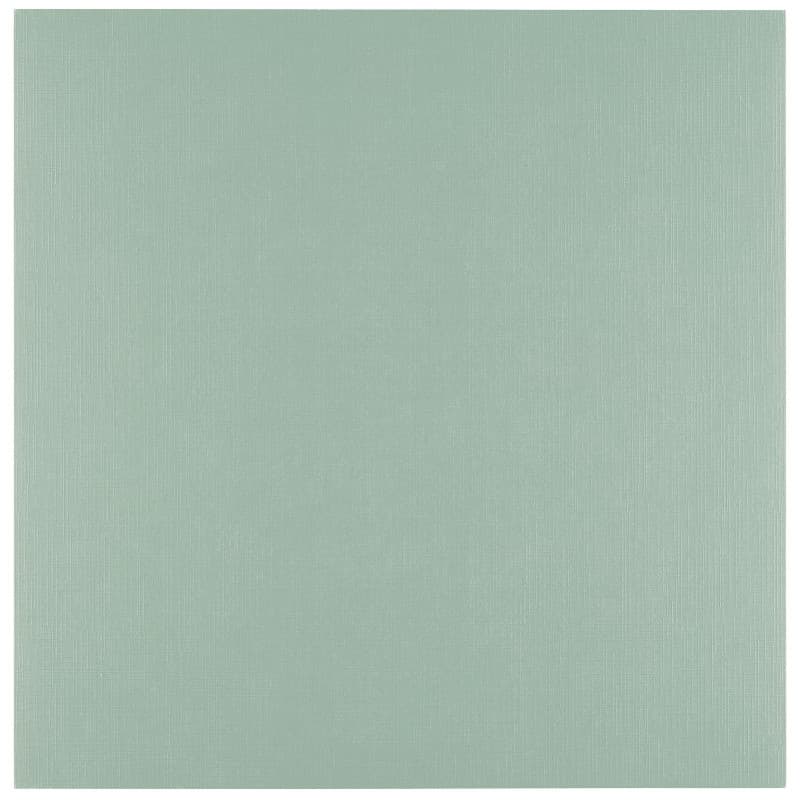 Florence Papier Cartonné en Lin Vert 250 g – Papier Scrapbooking 30,5 x 30,5 cm – Iguana – Papier Cartonné Couleur – Invitations