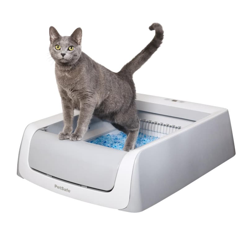PetSafe - ScoopFree - Bac à Litière Auto-Nettoyante ScoopFree de PetSafe, Deuxième Génération - Plus Besoin de Ramasser, Contrôl