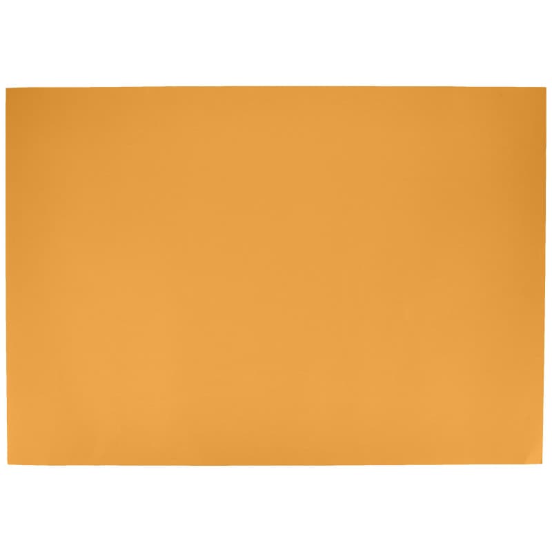 Papier Canson Colorline 70x100 cm - 25 Feuilles 220g Couleur Unie
