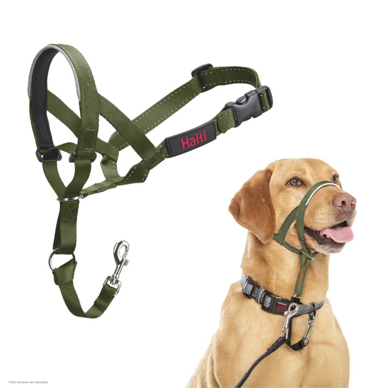 Licol Halti Vert Forêt pour Chien - Anti-Traction et Confort Optimal