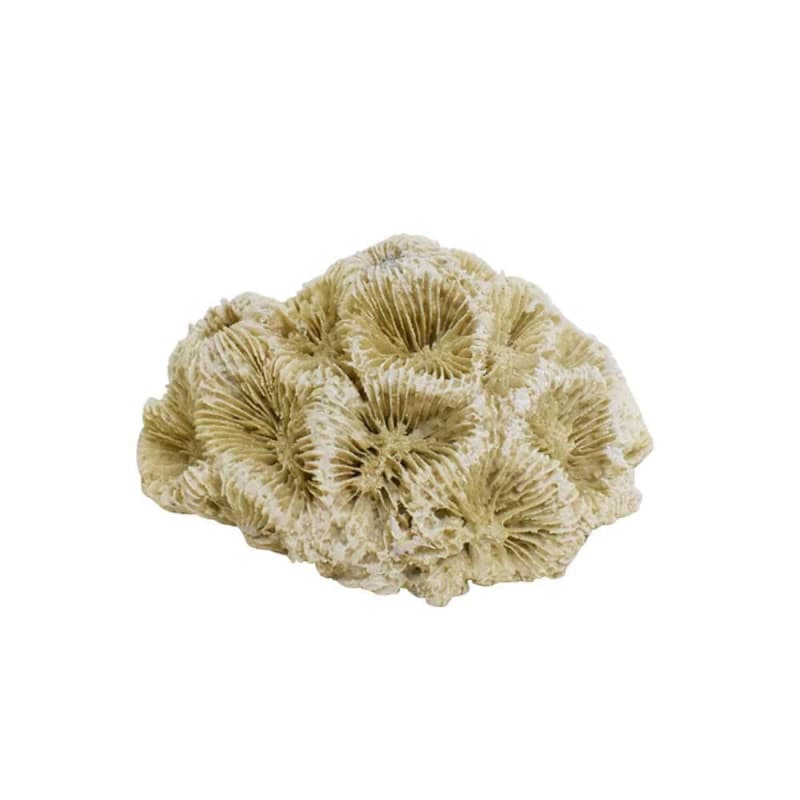 Figurine Corail Nobby pour Aquarium - Décoration Sous-Marine en Résine