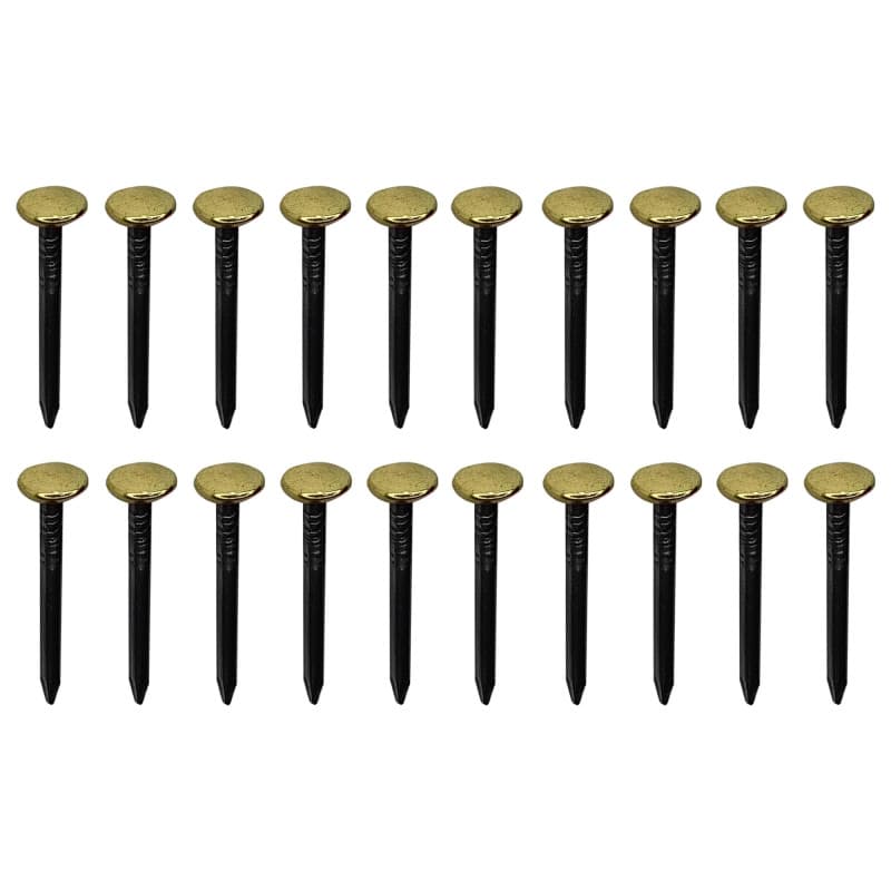 Clous en Acier avec Tête en Laiton pour Fixation Décorative - 20 pièces