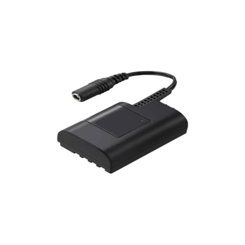 Batterie Lithium-ion Panasonic DMW-DCC12GU pour Lumix GH3 et GH4