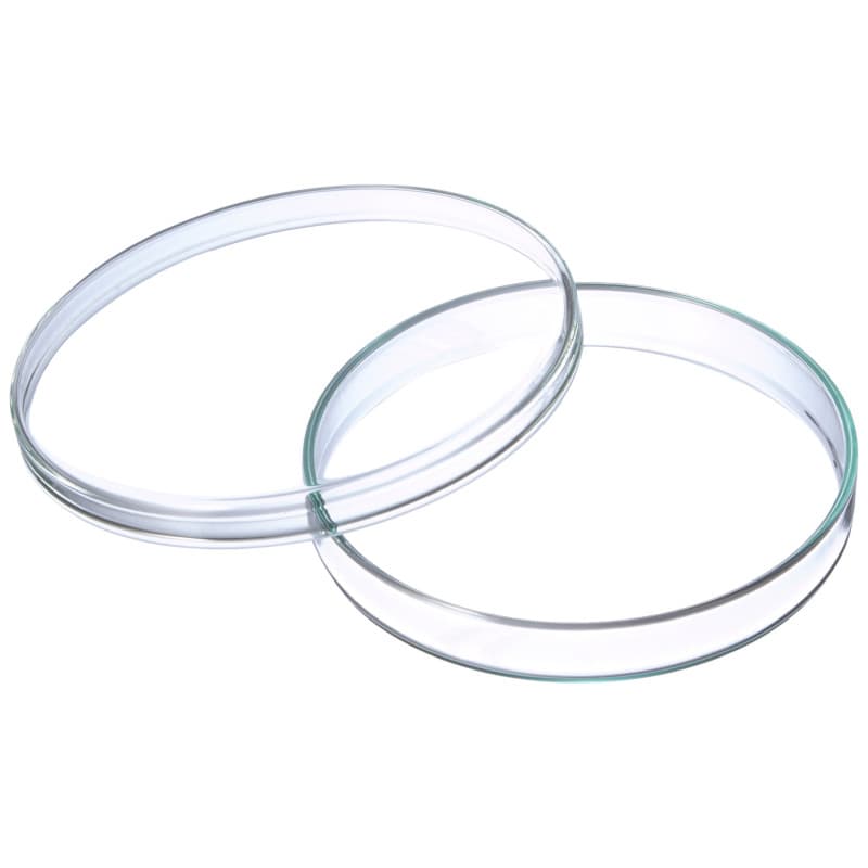 Boîtes de Petri en Verre Transparent - Lot de 5 - 100 mm x 15 mm