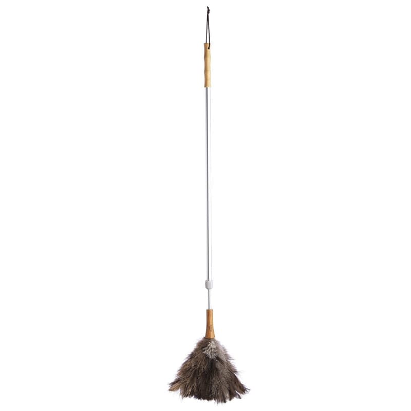 Plume d'Autruche KitchenCraft avec Manche Télescopique - Gris