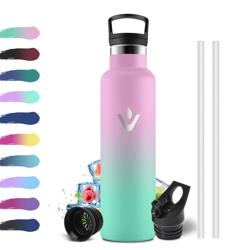 Gourde Isotherme 750ml en Acier Inox avec Paille - Étanche et Réutilisable