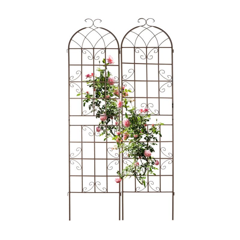 Tuteur à Tomates Relaxdays - Lot de 2 pour Plantes Grimpantes - Marron