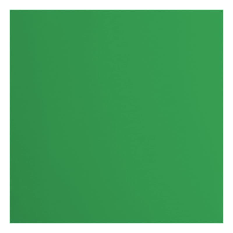 Papier Cartonné Florence Vert Holly - 20 Feuilles 30,5 x 30,5 cm