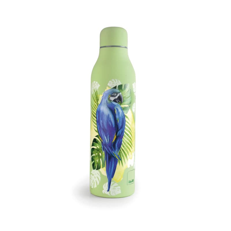Bouteille Isotherme Smart Papagayo 500 ml en Acier Inoxydable