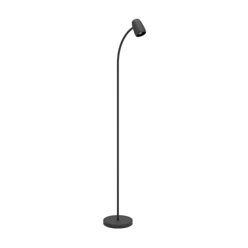 Lampadaire de Lecture Carlo en Métal Noir avec Bras Flexible - Eglo