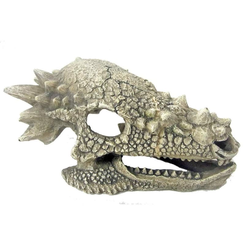 Ornement Aquatique Crâne Dragon en Résine pour Aquarium
