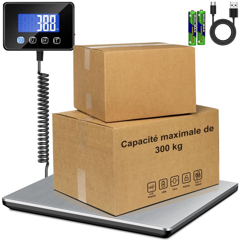 Balance Colis Professionnelle RAOYAN 300kg avec Écran LCD et Fonction Tarage