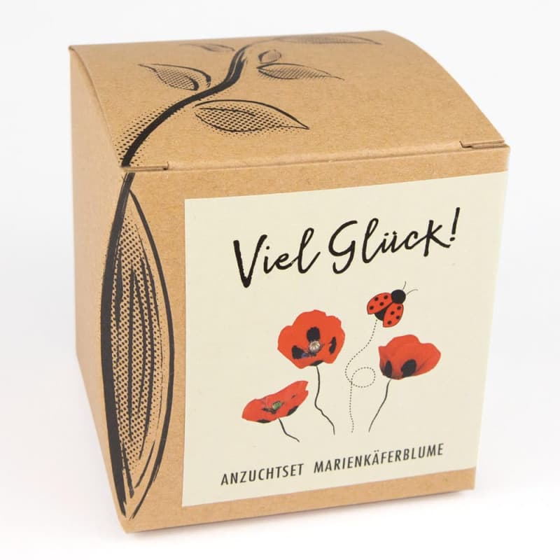 Kit de Culture Cœur-de-Marie avec Graines de Pavot Coccinelle - Idée Cadeau Porte-Bonheur