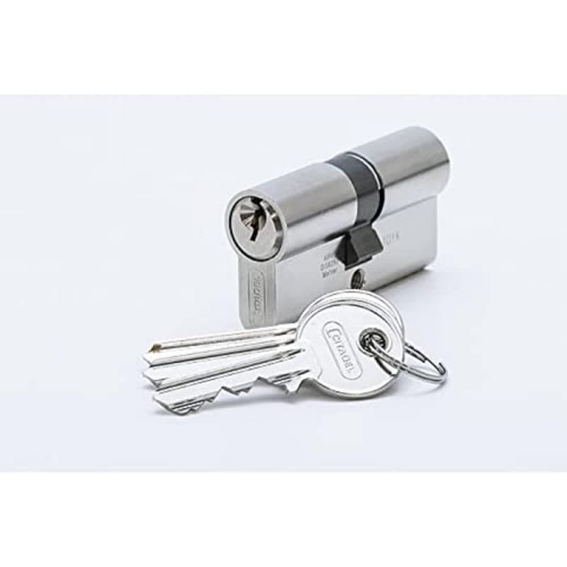Cylindre Profilé ABUS CITADEL N 30/40 en Nickel - Sécurité Renforcée