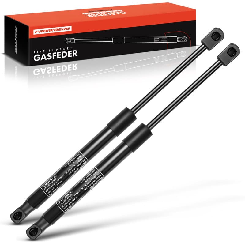 Vérins à Gaz Frankberg pour Hayon Swift IV FZ NZ 2010-2021 - Lot de 2