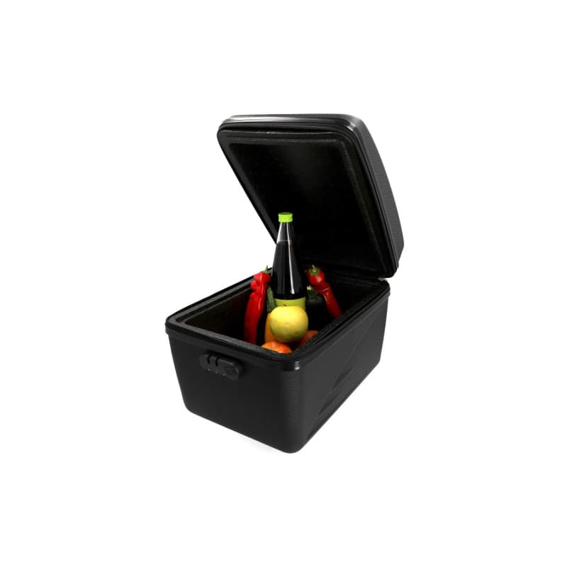 Fischer Boîte Isolée pour Porte-Bagages - Garde au Chaud et au Froid, 16L, Noir