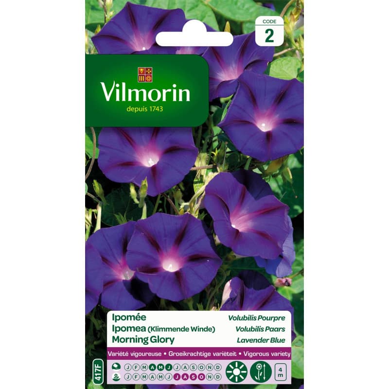 Ipomée Pourpre Vilmorin - Semences de Fleurs Grimpantes Annuelles