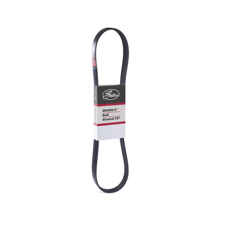 Courroie Micro-V Gates 6PK842SF pour Voiture - Performance Optimale
