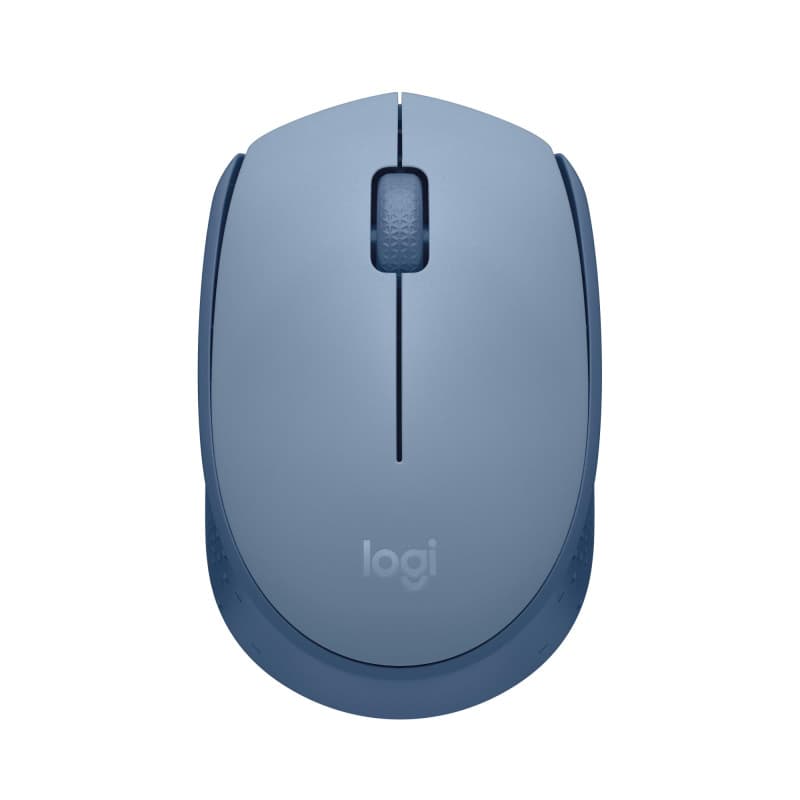 Souris Sans Fil Logitech M171 - Autonomie 12 Mois, Ambidextre, Gris