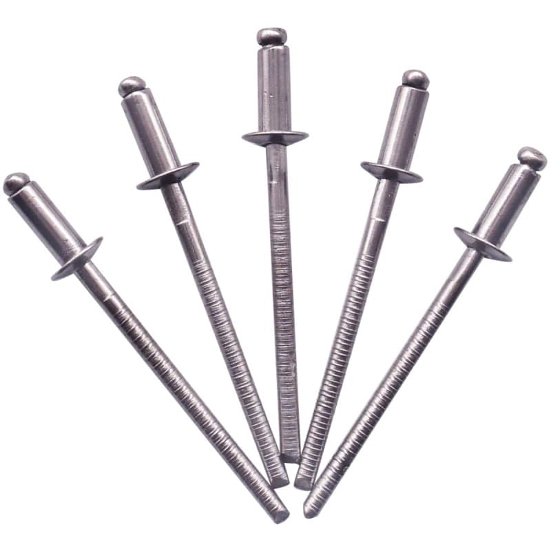 Rivets Aveugles en Acier Inoxydable SKIR'CO - 100 Pièces, 3,2 x 8 mm
