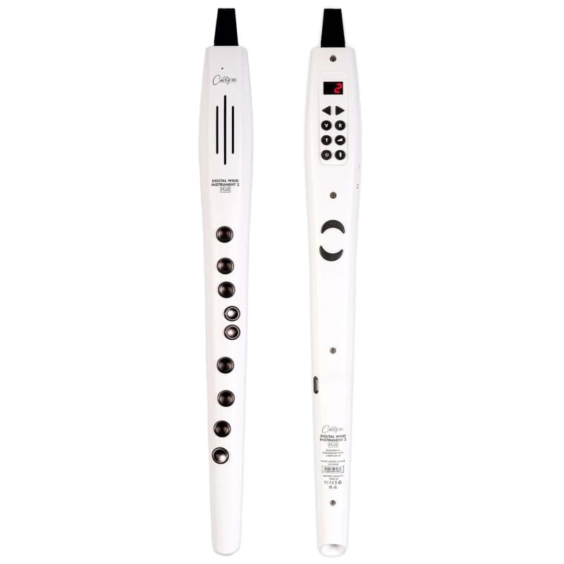 Carry-on Instrument à Vent Numérique 2 Plus - 20 Voix et Enregistreur MIDI Bluetooth
