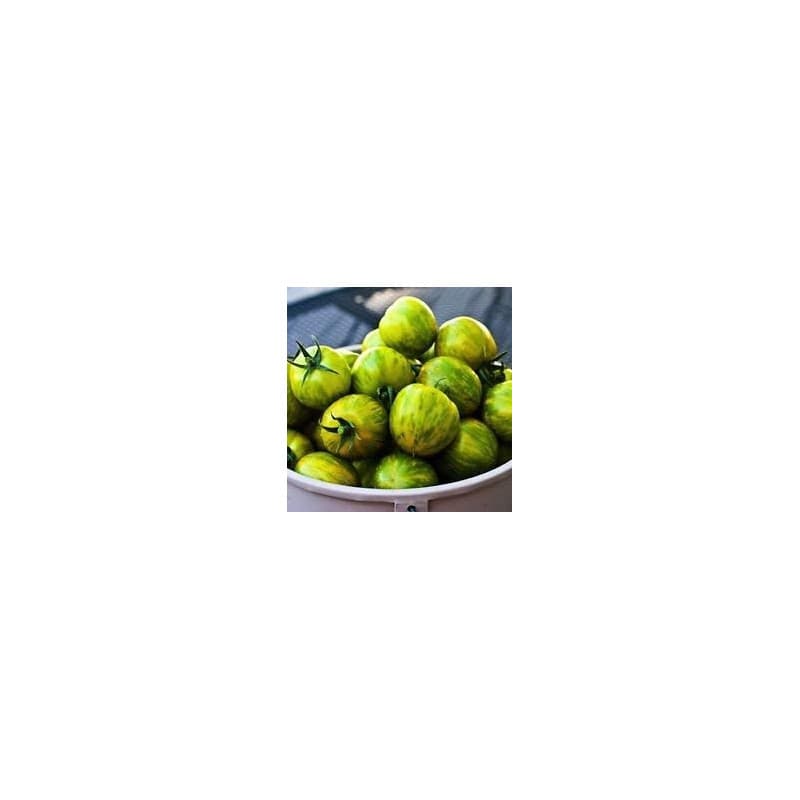 100 Graines Bio de Tomate Green Zebra - Semences Nouvelles 2017