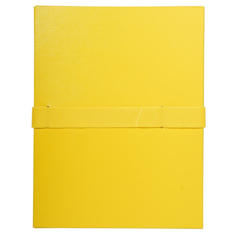 Exacompta Carton de 10 Chemises à Dos Extensible Jaunes A4