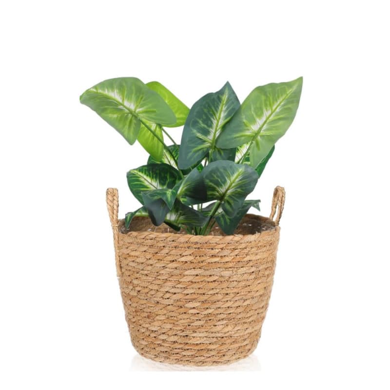 Panier à Plantes Bohème en Jonc de Mer - Décoration de Jardin Tissée