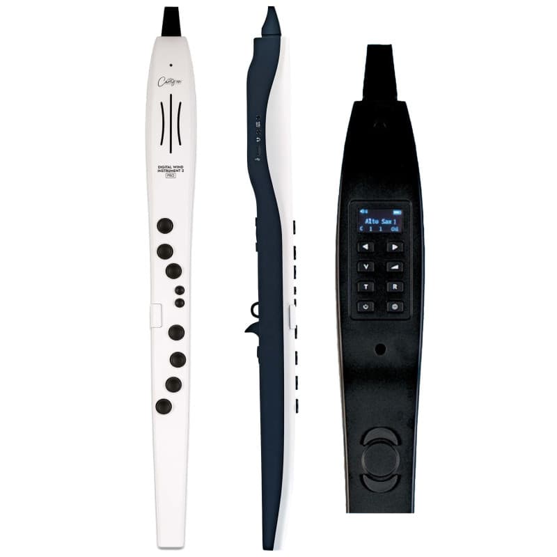 Instrument à Vent Numérique 2 Pro - Léger et Rechargeable avec 65 Voix