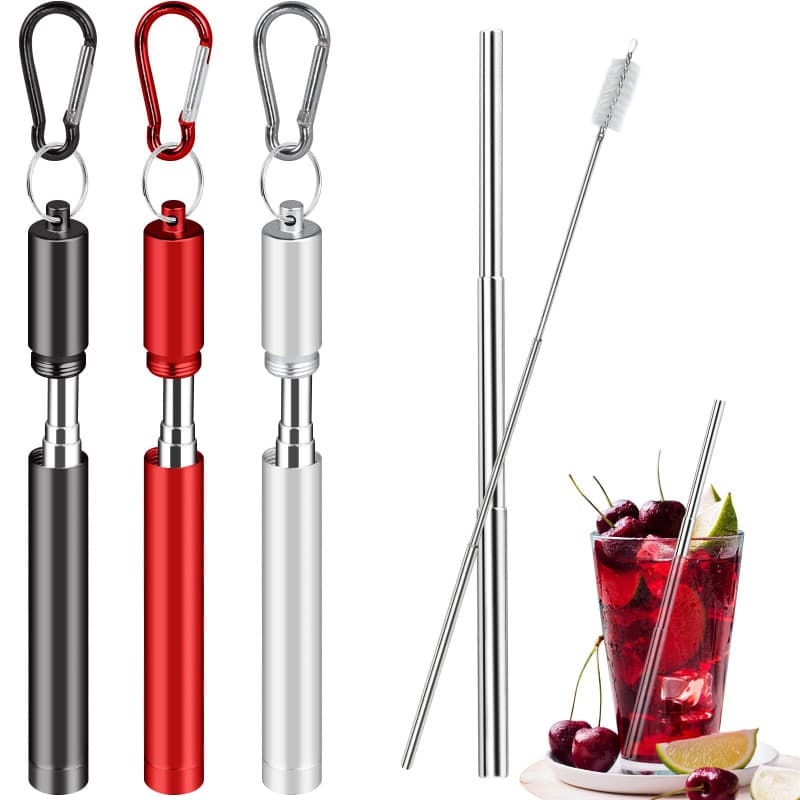 Lot de 3 pailles télescopiques en acier inoxydable avec boîte et brosse
