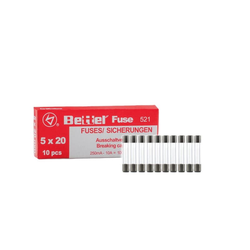 Lot de 10 Fusibles Rapides en Verre 0,315 A 5 x 20 mm 250 V - Type 521