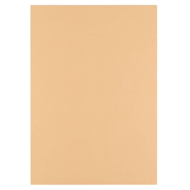Papier Cartonné en Lin A4 Beige - 100 Feuilles Parchment pour Loisirs Créatifs