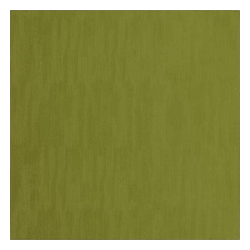 Papier Cartonné Vert Olive Florence - 20 Feuilles 30,5 x 30,5 cm pour Scrapbooking