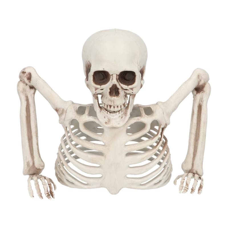 Squelette Décoratif Boland 20 cm pour Halloween et Fêtes Thématiques