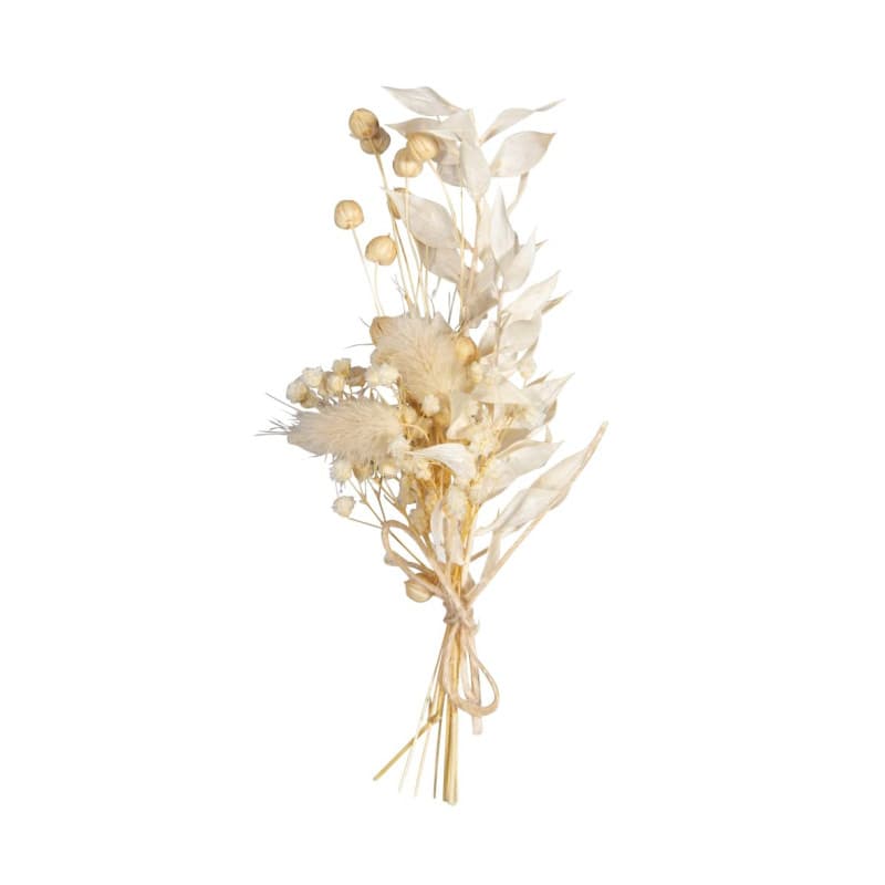 Bouquet de Fleurs Séchées Naturelles Ivoire - 18-20 cm pour Décoration