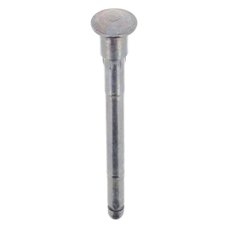 Axe de Charnière de Porte Restagraf pour CITROËN C3 - Sachet de 2