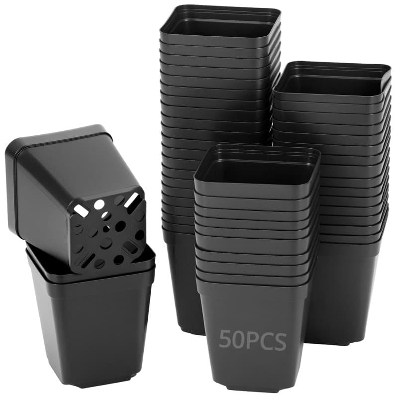 QWORK Pots de Pépinière Carrés en Plastique - 50pcs de 5.5 cm pour Semis et Transplantation